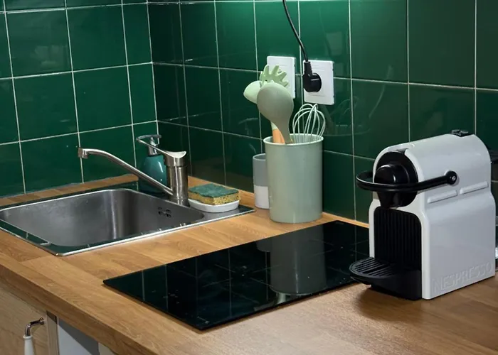 Studio rue Barberis Apartamento Niza
